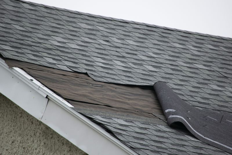 Replacing Missing Shingles